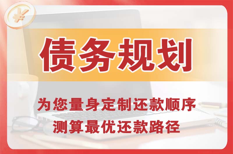 安顺债务规划
